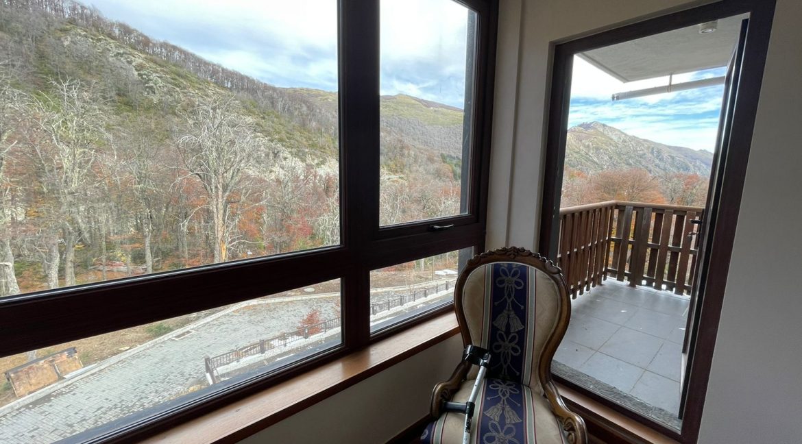 PHOTO-2022-05-14-15-21-43